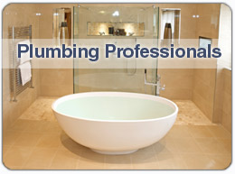 Pro Plumbing